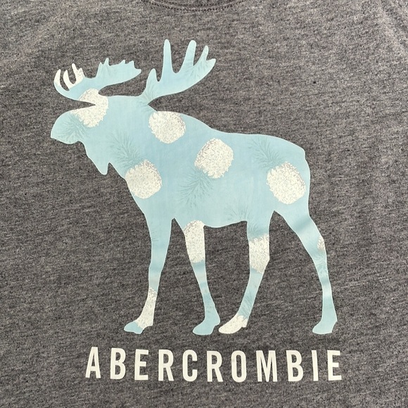 Boys Abercrombie Kids Graphic T-shirt | Color Changing tshirt - Picture 4 of 7